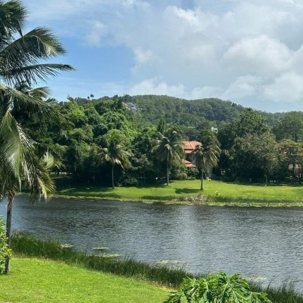 Property image - gallery 41