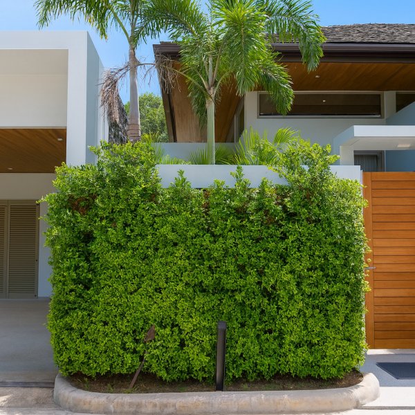 Property image - gallery 9