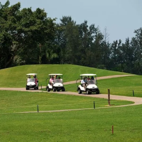 Property image - gallery 74