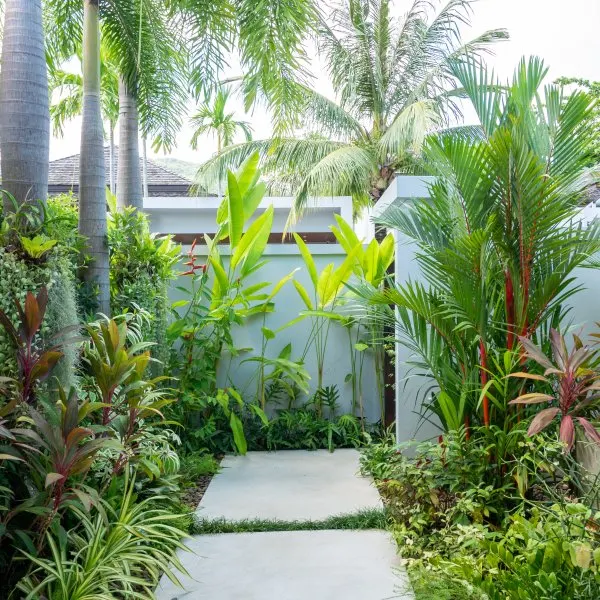 Property image - gallery 51