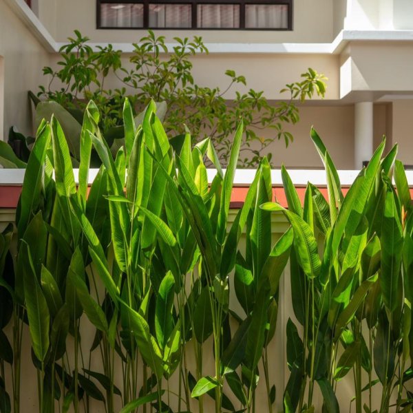 Property image - gallery 39