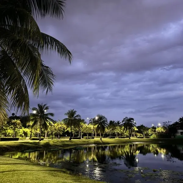 Property image - gallery 38