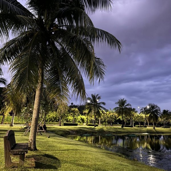 Property image - gallery 37