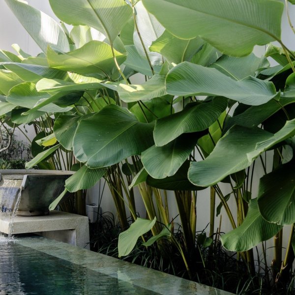 Property image - gallery 56