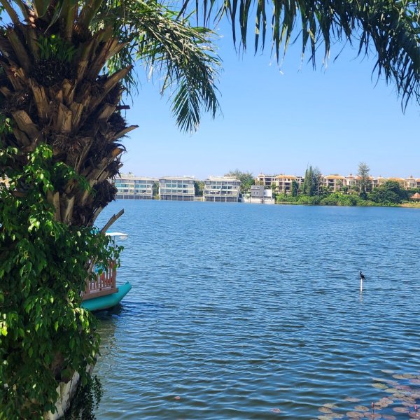 Property image - gallery 34