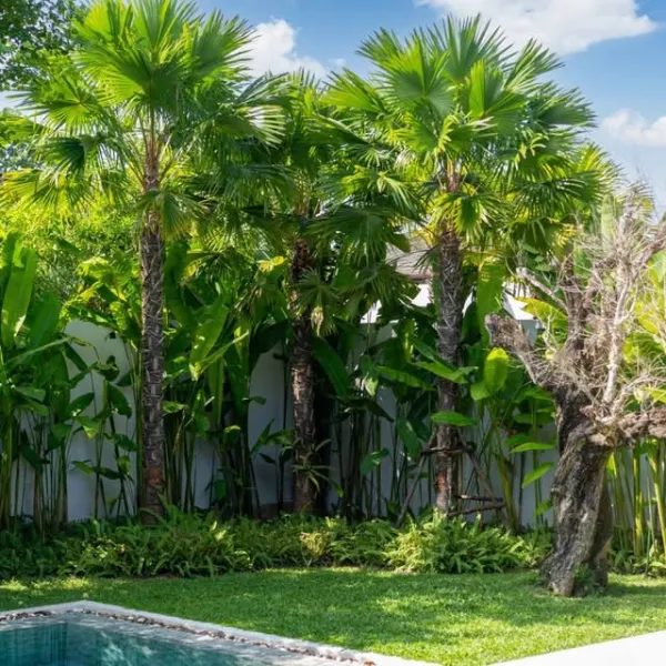 Property image - gallery 39