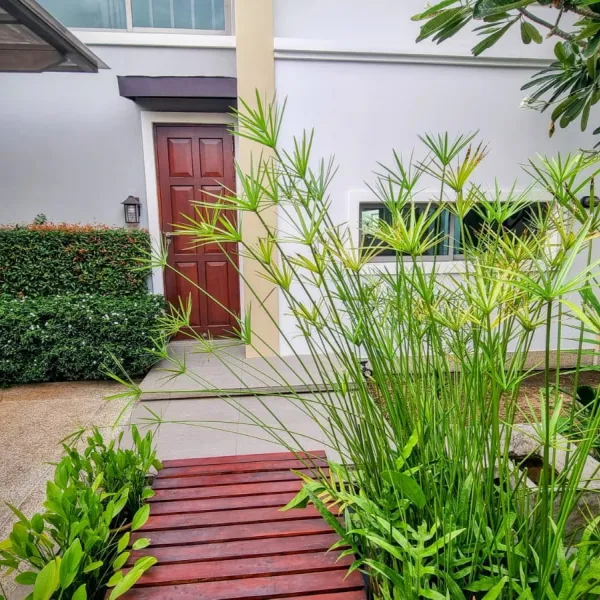 Property image - gallery 26