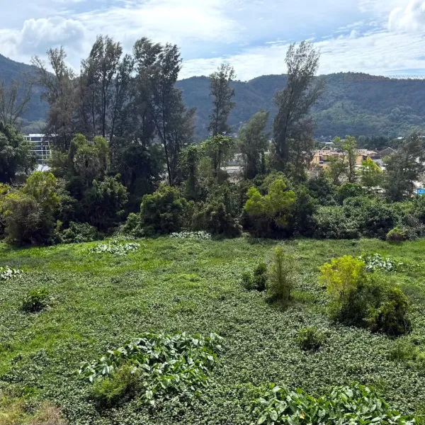 Property image - gallery 33