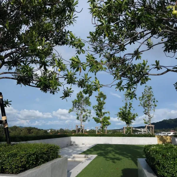 Property image - gallery 35