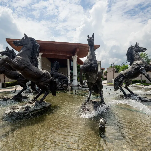 Property image - gallery 10