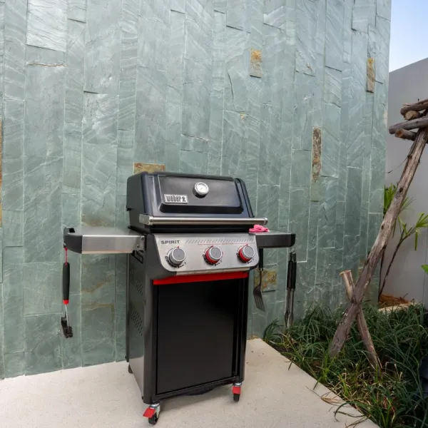 Property image - gallery 40