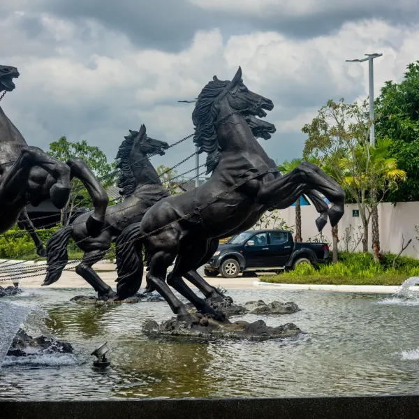 Property image - gallery 61