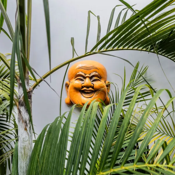 Property image - gallery 56