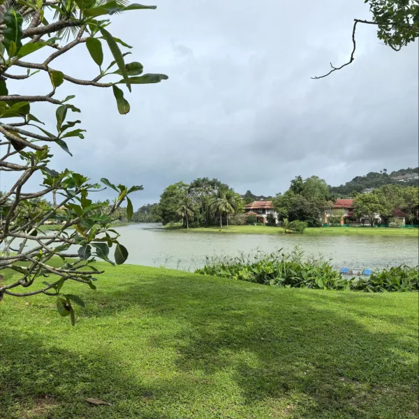 Property image - gallery 23