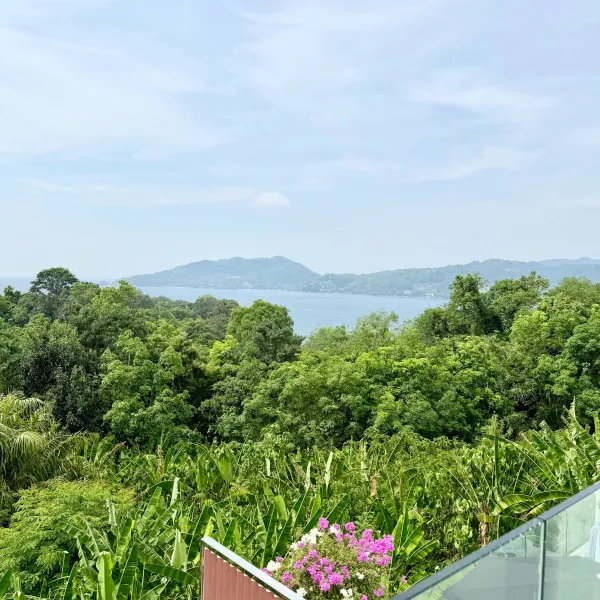 Property image - gallery 30