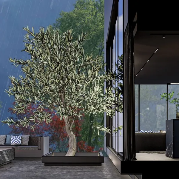 Property image - gallery 29