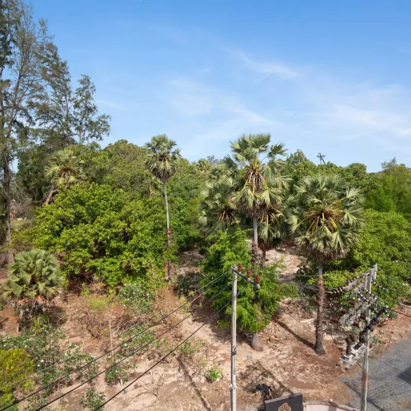 Property image - gallery 11