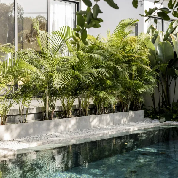 Property image - gallery 35