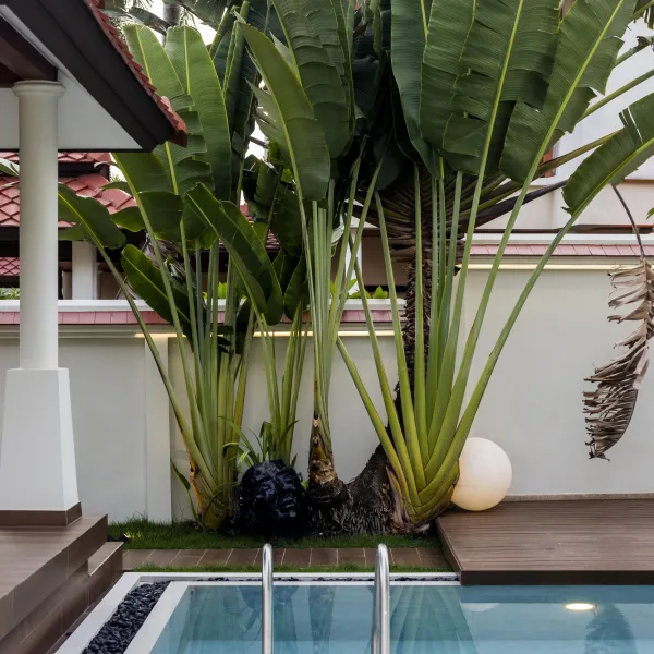 Property image - gallery 51