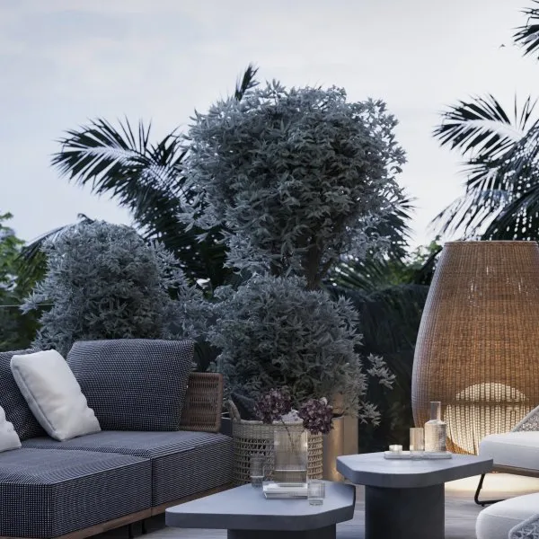 Property image - gallery 14