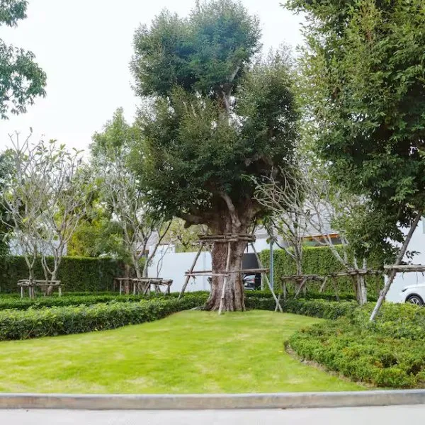Property image - gallery 39