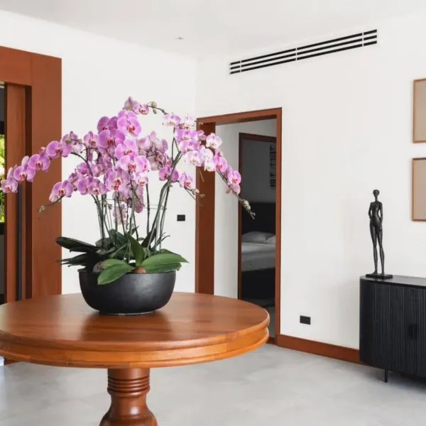 Property image - gallery 11