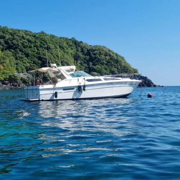 speedboat CORSICA 40FT