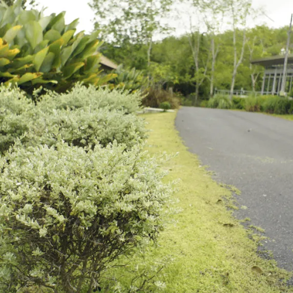 Property image - gallery 9