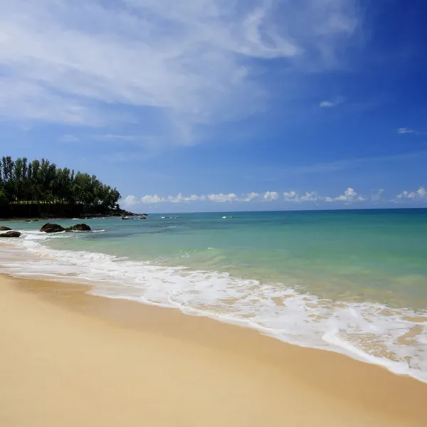 Property image - gallery 23