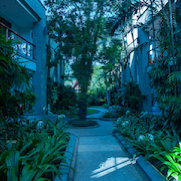 Property image - gallery 50