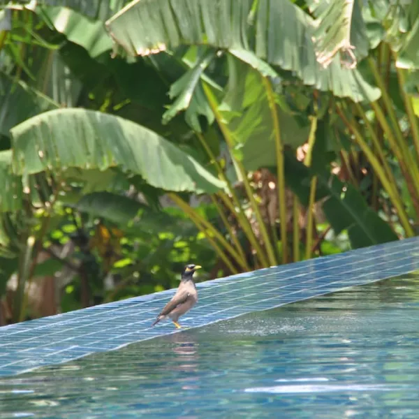 Property image - gallery 26