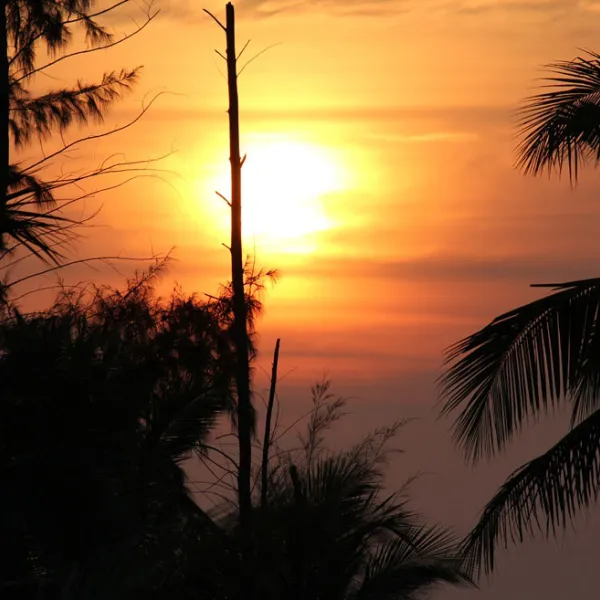 Property image - gallery 8