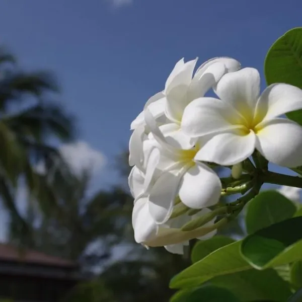 Property image - gallery 34