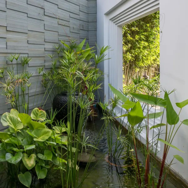 Property image - gallery 29