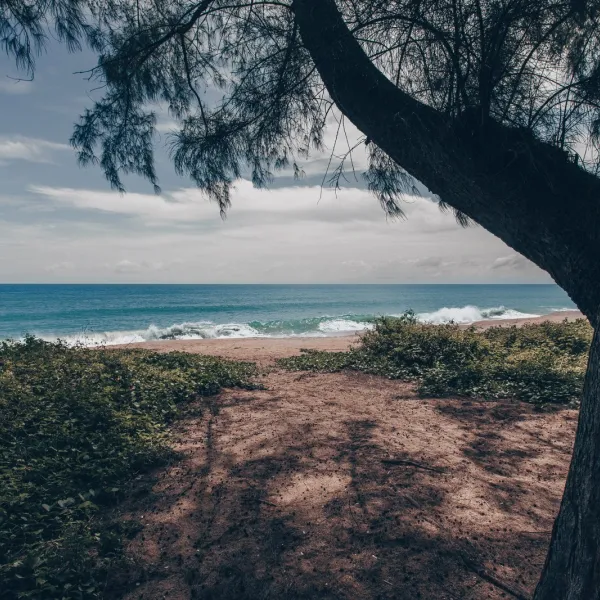 Property image - gallery 41