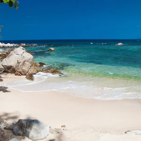 Property image - gallery 66