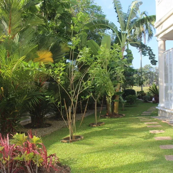 Property image - gallery 7