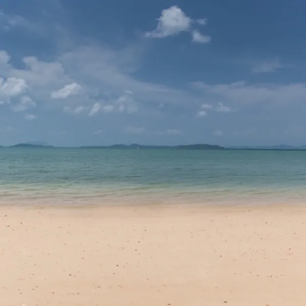 Property image - gallery 41