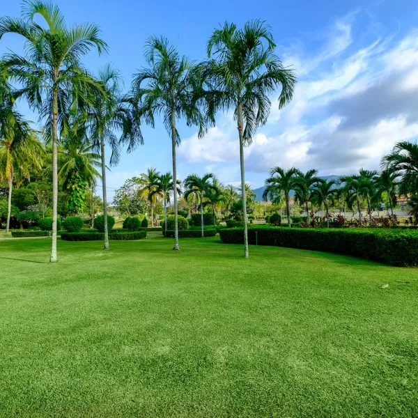 Property image - gallery 43