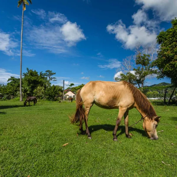 Property image - gallery 18