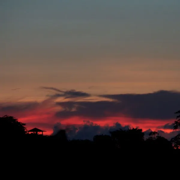 Property image - gallery 43