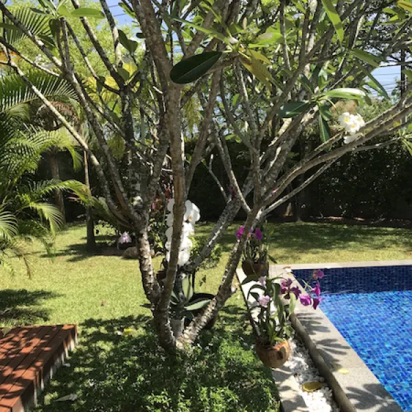 Property image - gallery 43