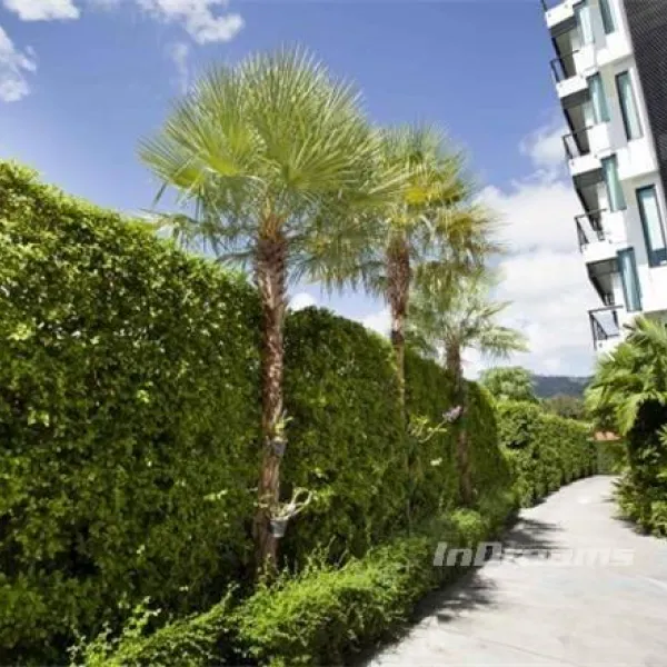 Property image - gallery 22