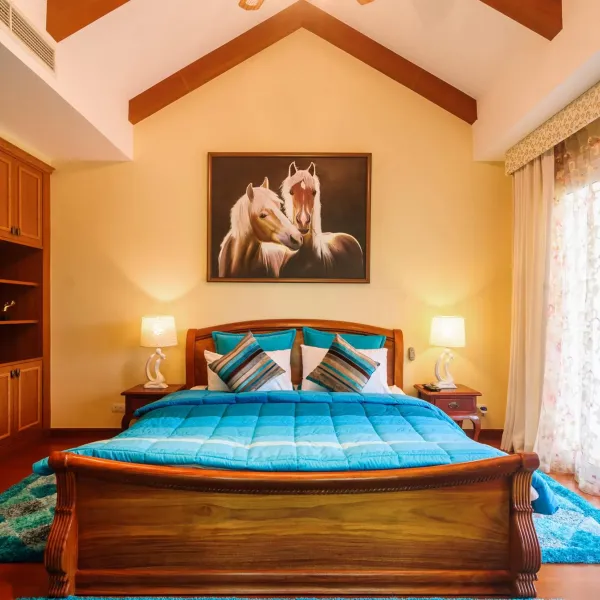 Property image - gallery 59