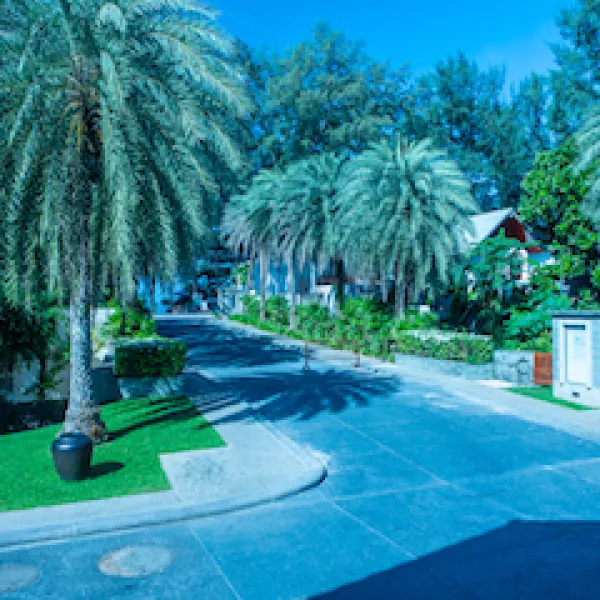 Property image - gallery 62