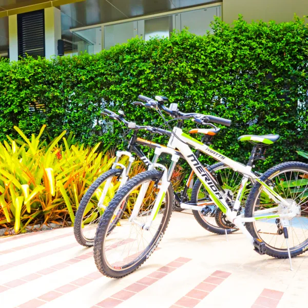 Property image - gallery 14