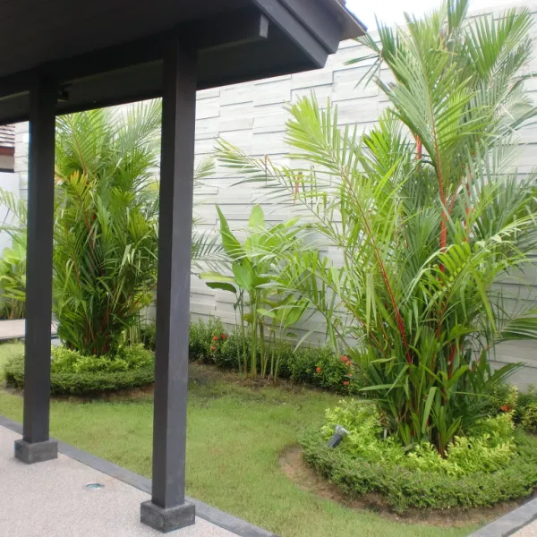 Property image - gallery 17