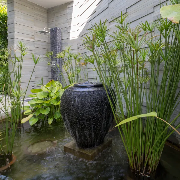 Property image - gallery 53