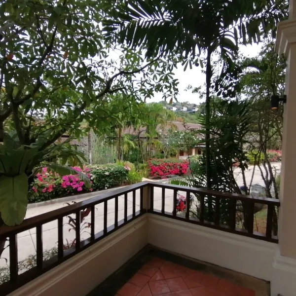 Property image - gallery 41