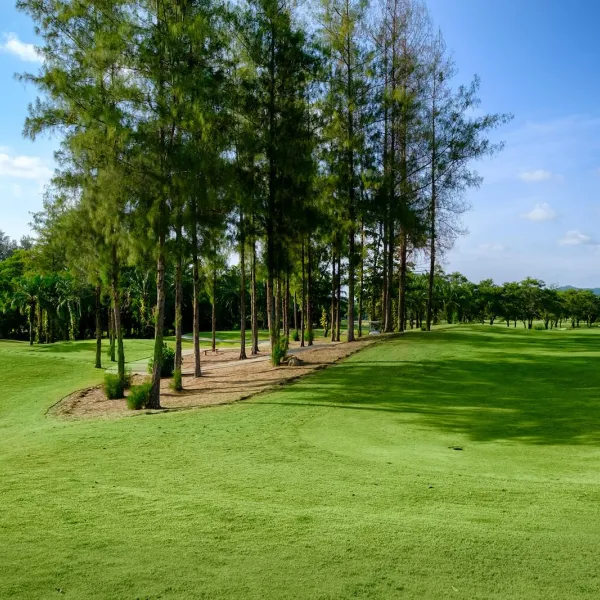 Property image - gallery 42